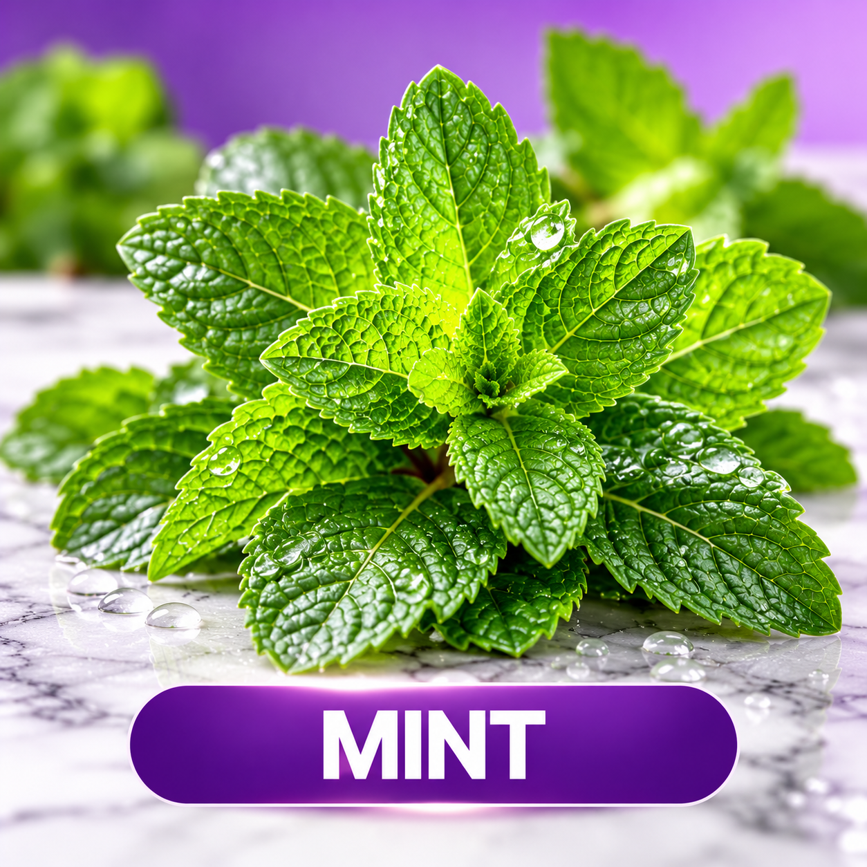Menta fresca com rótulo roxo